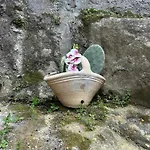 Casa Fiore Nella Roccia Bed & Breakfast 3*