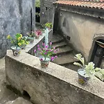 Casa Fiore Nella Roccia Bed & Breakfast