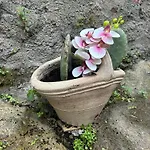 Casa Fiore Nella Roccia Castiglione De Sicilia