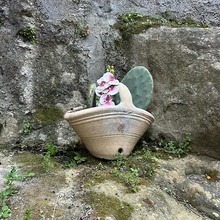 Casa Fiore Nella Roccia Bed & Breakfast *