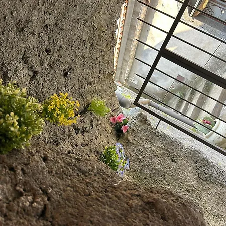 Bed & Breakfast Casa Fiore Nella Roccia *
