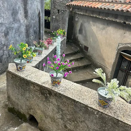 Casa Fiore Nella Roccia Bed & Breakfast
