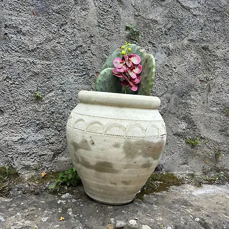 Bed & Breakfast Casa Fiore Nella Roccia